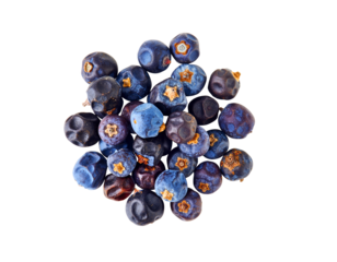 Pile of Dried Juniper Berries Spice (Transparent Background)