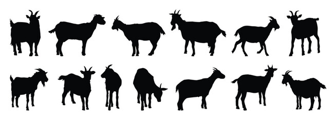 Fototapeta premium goat and goat kid silhouette set. goat and goat kid isolated farm animal silhouette icon vector collection