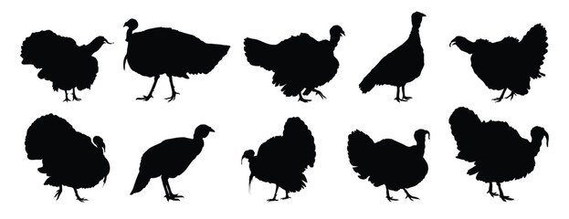 turkey silhouette set. turkey isolated farm animal silhouette icon vector collection
