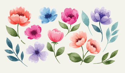 A hand-drawn botanical concept illustration set. A delicate and colorful collection of spring wildflowers and foliage painted in a soft watercolor style.