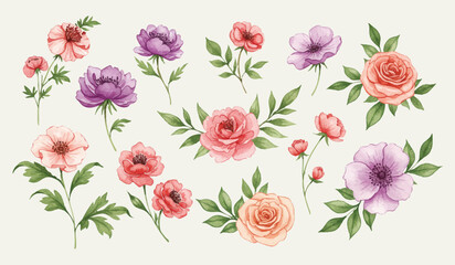 Watercolor floral arrangements Delicate roses, peonies, and blossoms in vibrant hues, perfect for design.