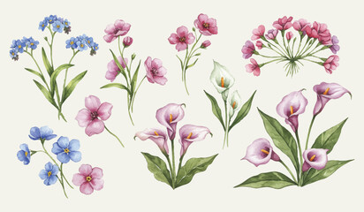 Watercolor Floral Collection Elegant Pink Calla Lilies and Delicate Forget-Me-Nots for Botanical Designs