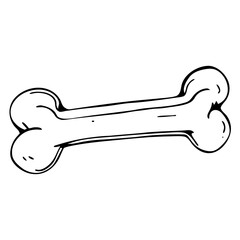 skeleton key isolated on white