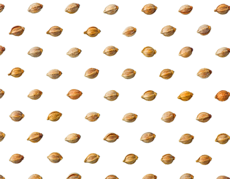 Golden star and coin seamless pattern with Transparent background