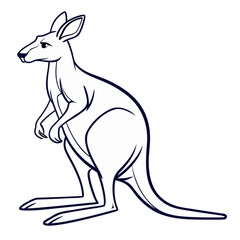 kangaroo vector illustration