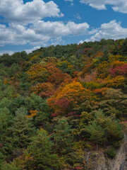 Fototapeta premium あぶくま洞の紅葉
