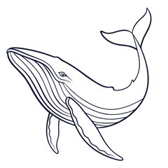 fish vector illustration