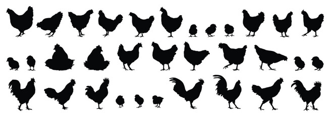 hen or chicken, rooster and chicks silhouette set. hen, rooster and chicks isolated farm animal silhouette icon vector collection