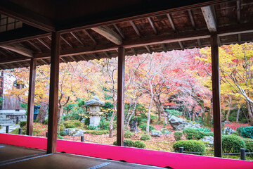 red carpet on terrace to view fall garden in Enkoji temple, Kyoto