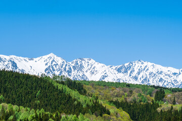 Fototapeta premium 残雪の白馬三山