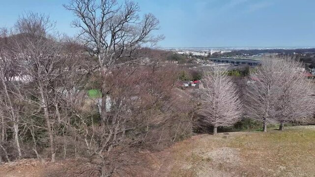 FPV-style drone ascends from trees, revealing Hadano city, highways, and distant horizon. Fast-paced aerial shot, ideal for cityscape, urban, or travel content.