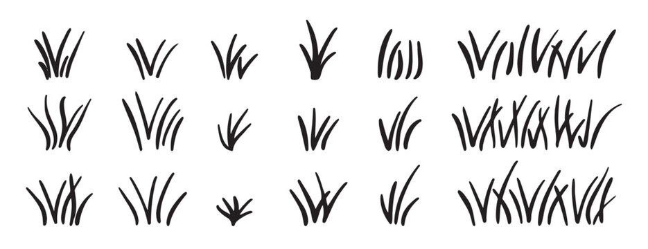 Doodle bunch of grass. Hand drawn lawn bush of grass icon hand drawn set. Outline grass line drawing clipart symbol collection