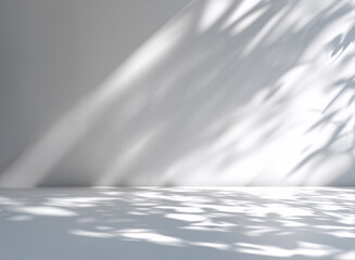 白い壁と床の空間と木漏れ日　光と影