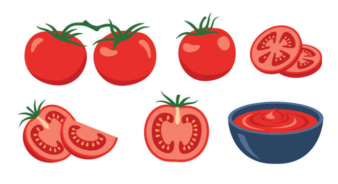 A colorful illustration of fresh, ripe tomatoes and tomato products, including slices and sauce in a bowl, perfect for culinary and food-related themes.