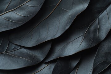 Obraz premium Abstract arrangement of black leaves showcases texture and depth creating a natural and elegant backdrop for creative projects