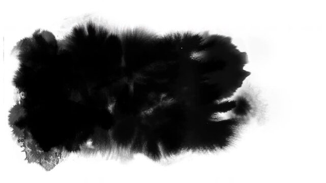 Black ink blots with drops, paint brush stroke shape black ink splattering flowing and washing