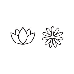 Minimalist lotus and daisy flower line art