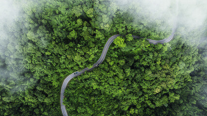 Aerial view of a winding road curving through lush green tropical forest with misty atmosphere....
