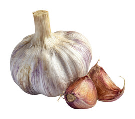 Obraz premium Cooking essential garlic bulb and cloves culinary kitchen natural isolated on transparent background