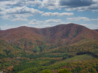 仙台平から観た紅葉
