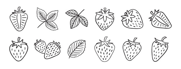 strawberry berries and leaves doodle hand drawn icon set. Outline drawing line clipart symbol collection.