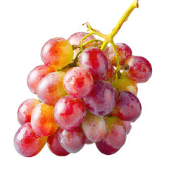 A cluster of red-pink grapes, glistening with moisture, hangs from a vine against a black background