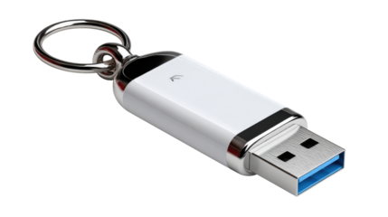 Digital Keychain: A sleek, modern USB drive with a keyring attachment, representing data storage and accessibility.