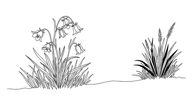 Elegant Bellflowers and Grasses Illustration in Serene Garden Setting, Continuous Line Art for Nature-Inspired Designs, Minimalist Style for Botanical Studies and Educational Resources, Perfect for Ec