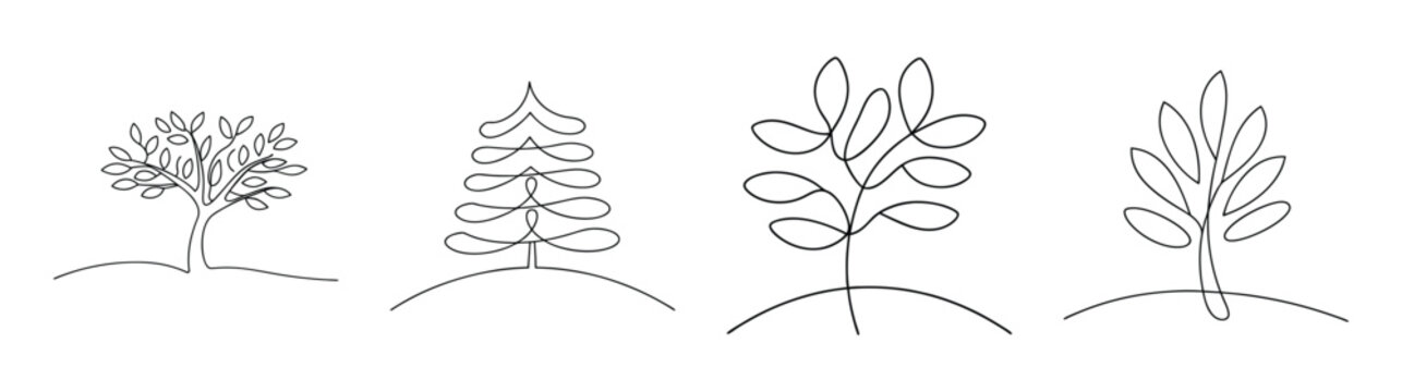 Four stylized sketches of juniper trees showing different branching patterns and foliage detail