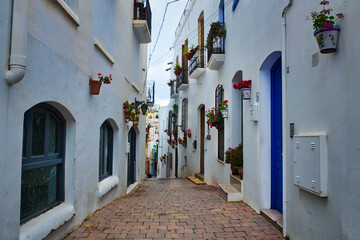 Narrow, ascending street with traditional whitewashed houses, balconies decorated with red flowers, and blue doors, characteristic of the picturesque Mojácar Pueblo in Almería, Spain.