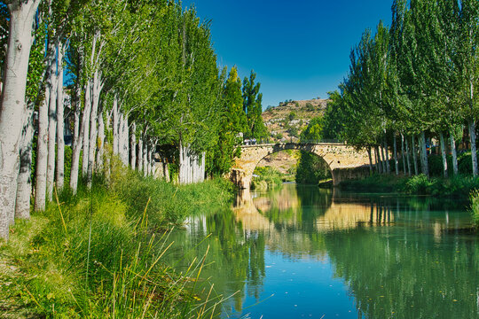 Medieval stone bridge crossing the clear Tagus River, framed by tall, bright green poplar trees and reflecting the blue sky on a sunny summer day in Trillo, Guadalajara, Spain.