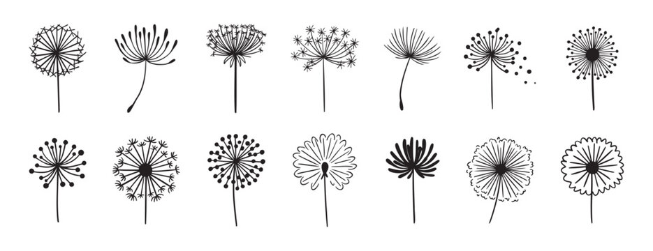 Dandelion flower silhouette doodle hand drawn icon set. Outline drawing Dandelion flower silhouette line clipart symbol collection