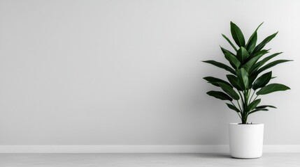 Large potted green houseplant stands against a plain light gray wall backdrop with copy space