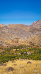 Autumn valley with golden grass, green orchards, and rocky mountains under a clear sky — a vivid contrast of terrain and seasonal color.
📍Hazarani, Hawraman