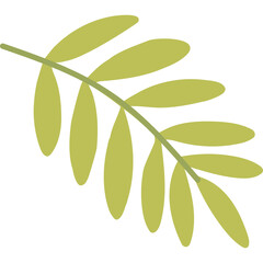 Delicate Light Green Olive Branch With Multiple Leaves Against A Transparent Background Symbolizing Peace Growth And Nature