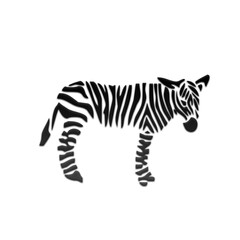 Monochrome zebra silhouette with dynamic stripes, perfect for modern branding, creative projects and unique designs, adding a touch of wildlife