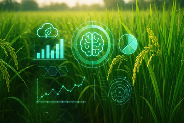 Digital brain and data analytics overlay on a lush green rice field agriculture artificial intelligence