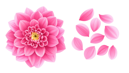  Pink flower springtime collection isolated on transparent background