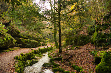Verenaschlucht bei Solothurn in der schweiz