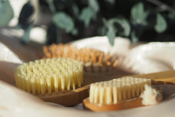 Natural brushes arranged on a soft surface