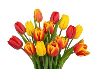 Naklejka premium Colorful tulips bouquet on