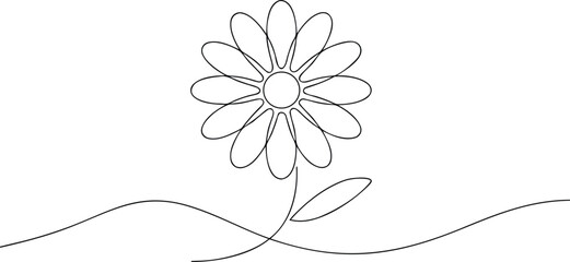 Single line drawing of a daisy flower with stem and leaves