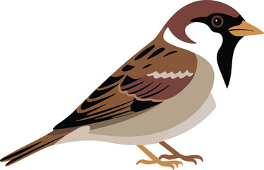 Fototapeta premium Vector illustration of a brown house sparrow a common small bird found in urban and rural environments