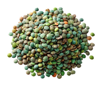 Harvesting green lentils in a field agricultural scene nature isolated on transparent background