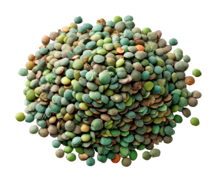 Harvesting green lentils in a field agricultural scene nature isolated on transparent background