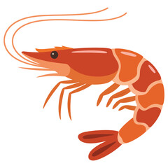 shrimp on a white background