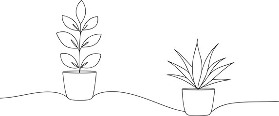 Two potted plants in simple line art houseplant green