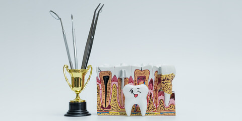 Dental Tools in Trophy with Tooth Anatomy Model and Cartoon Tooth
