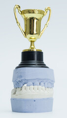 Dental Cast with Trophy Representing Oral Health Excellence
