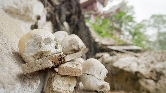 human skulls in burial site, ancient grave in buntu pene village sulawesi, indonesia, indonesian culture